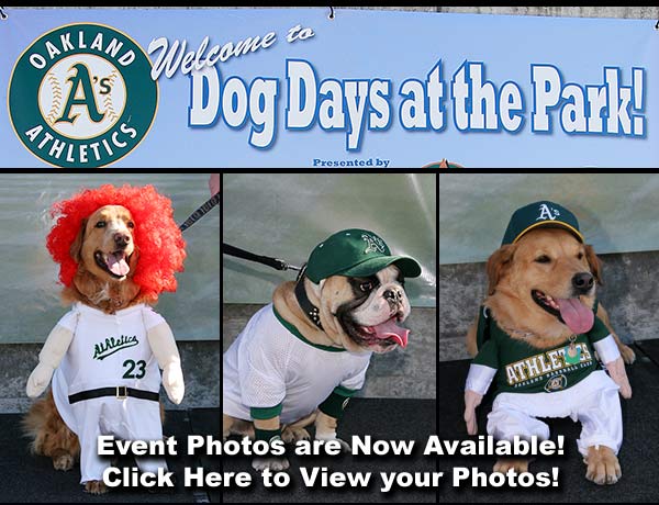 Click Here for Dog Day Photos